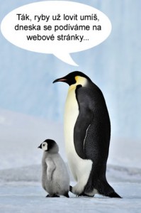 Google Penguin Update